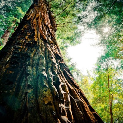 1920 x 1080 HD Wallpapers 1972